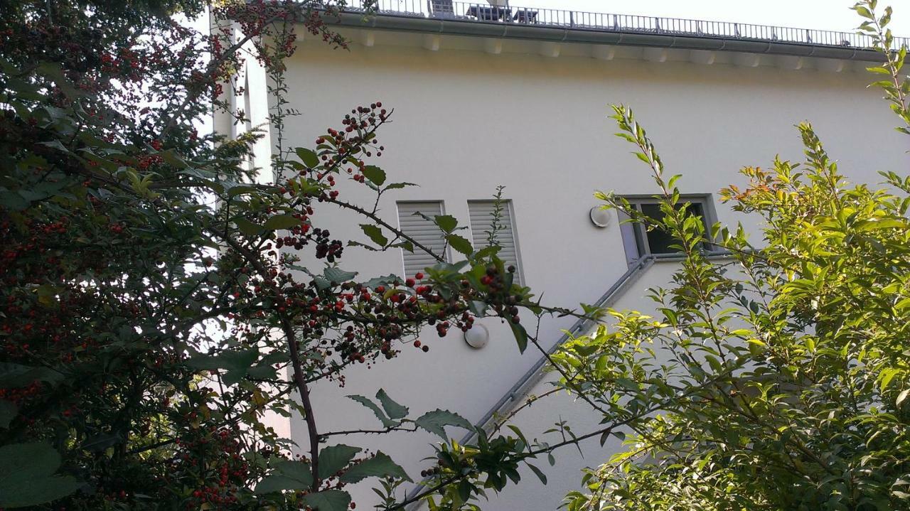 Petite Bellevue II Apartamento Baden-Baden Exterior foto